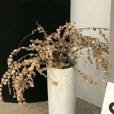 兽设黄昏场景设计福瑞群